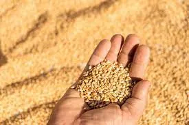 Foto: Forbes Agro