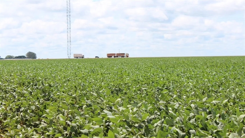 Foto: Arquivo Agrolink
