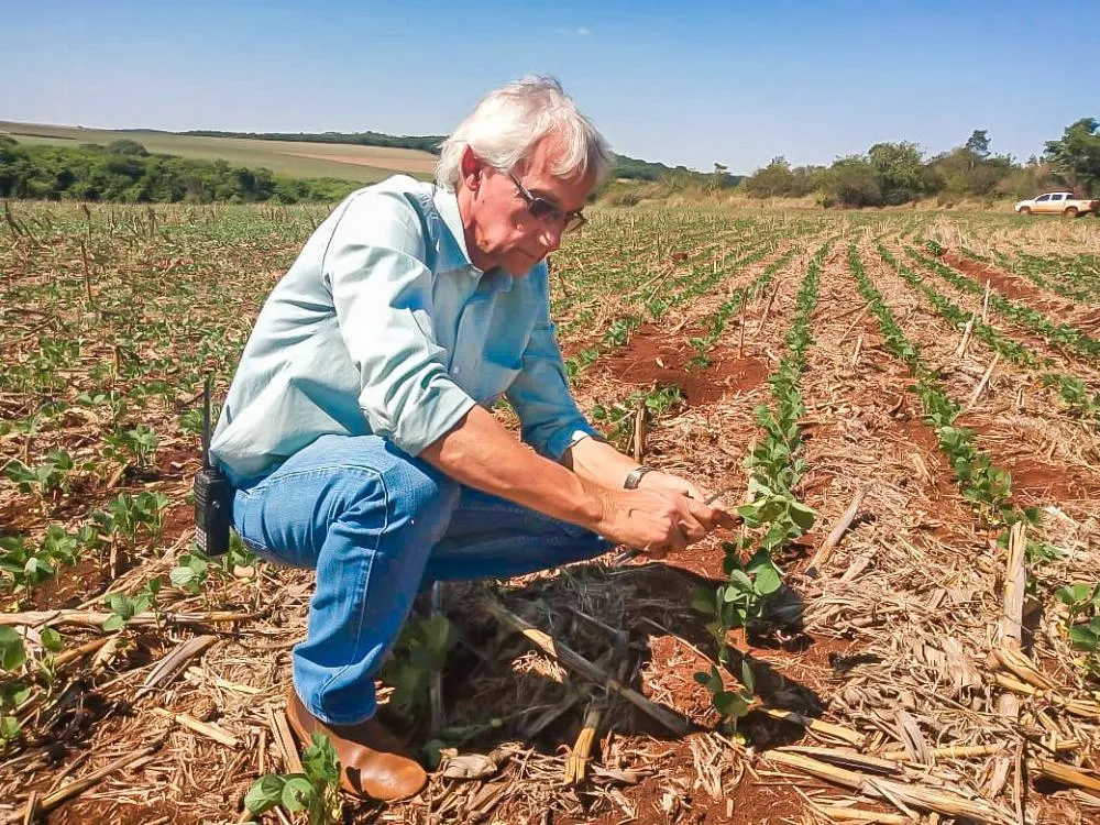 Foto: Pedro Silvestre/ Canal Rural