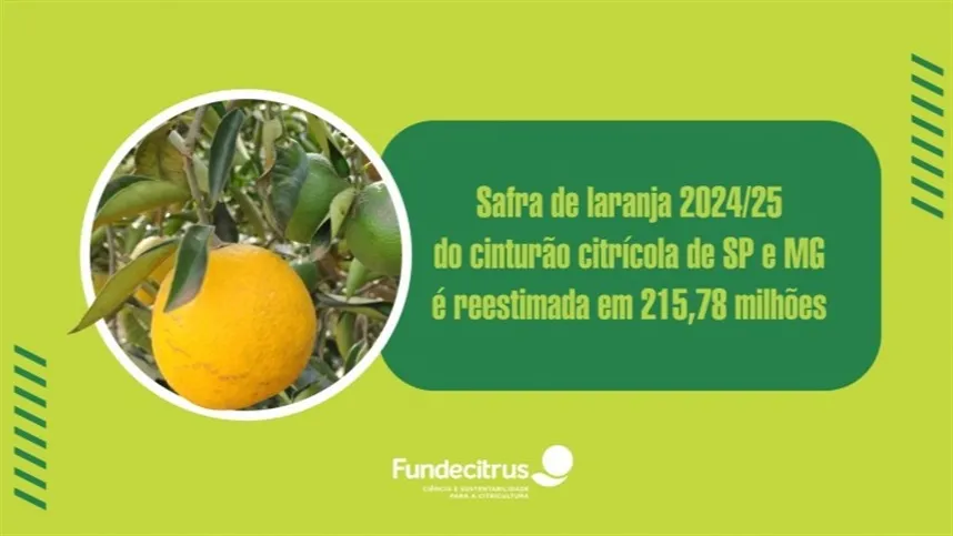 Foto: Fundecitrus