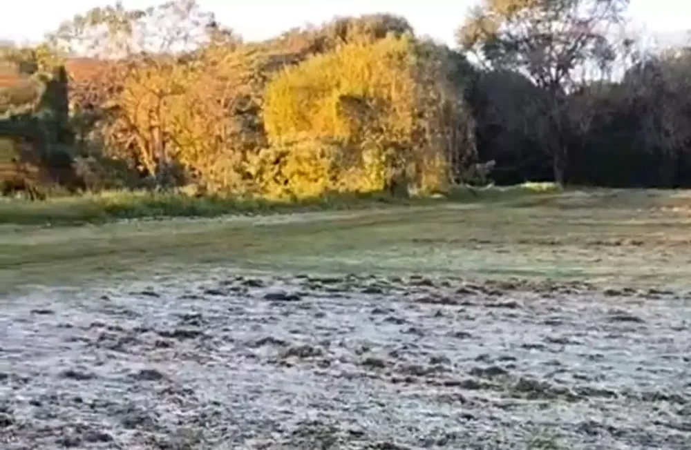 Parte da grama de Parque em Dourados ficou coberta de gelo (Foto: Reprodução, Sidney Bronka)