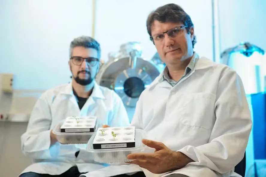 Lucas Godinho e Douglas Galante, da USP: pesquisas ligadas à Space Farming com grão-de-bico em regolito lunar simulado — Foto: Nilani Goettems/Valor