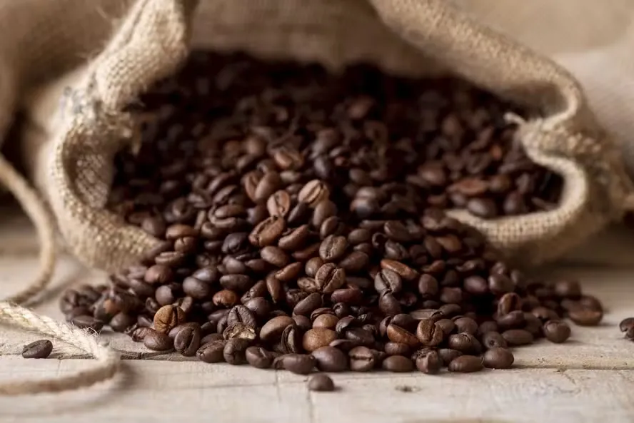 Saca de café — Foto: Freepik