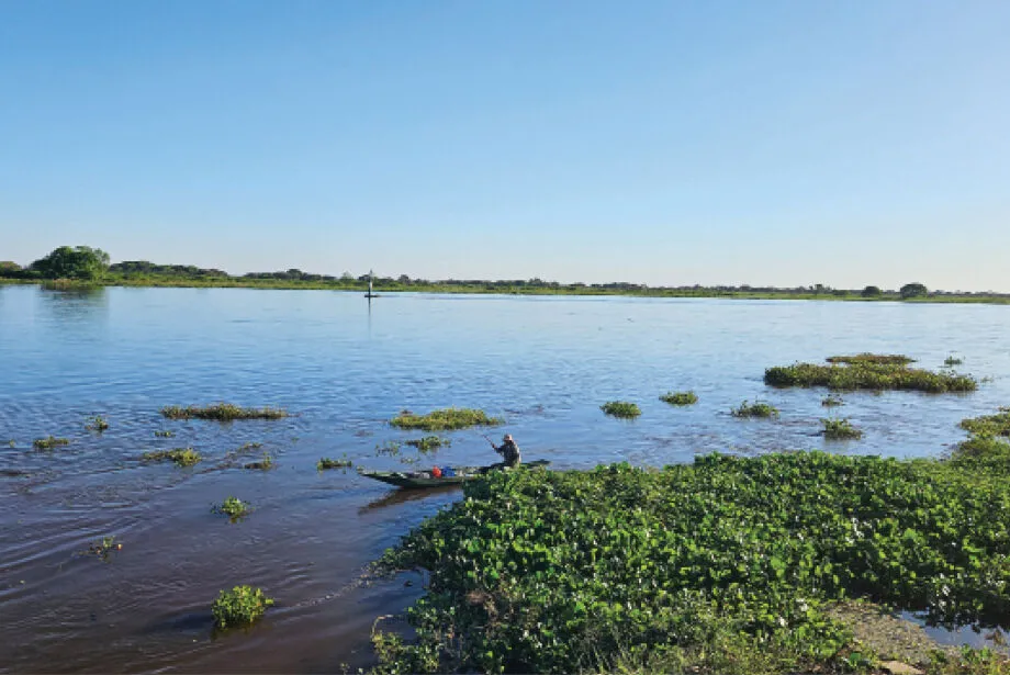 Pantanal tem o menor número de focos de calor e área queimada em quase 30 anos - Rodolfo César