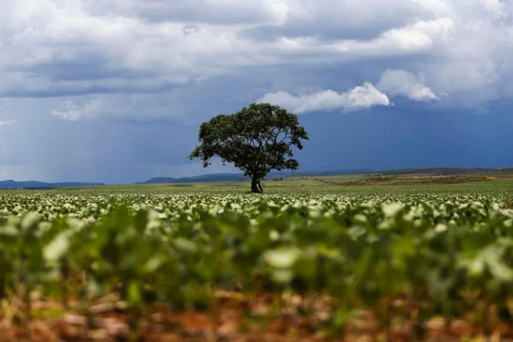 Foto: Marcelo Camargo/Agência Brasil