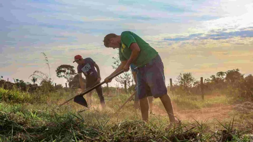 Trabalhador rural (Arquivo, Jornal Midiamax)