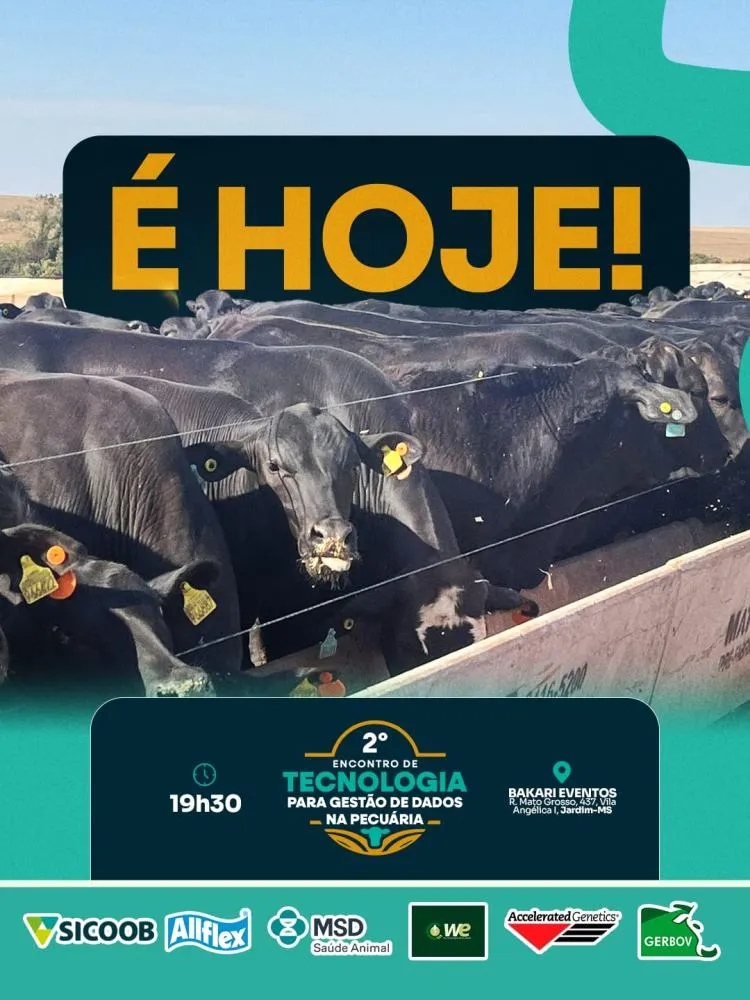 Imagem: Divulgação