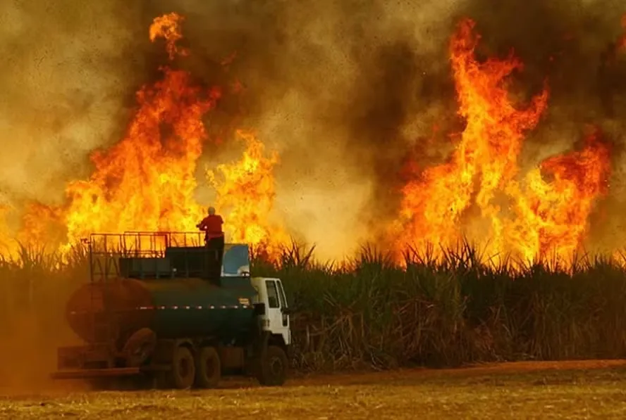 Força tarefa investiga incêndios em canaviais e compra irregular de terras e postos de combustíveis — Foto: Unica/Divulgação