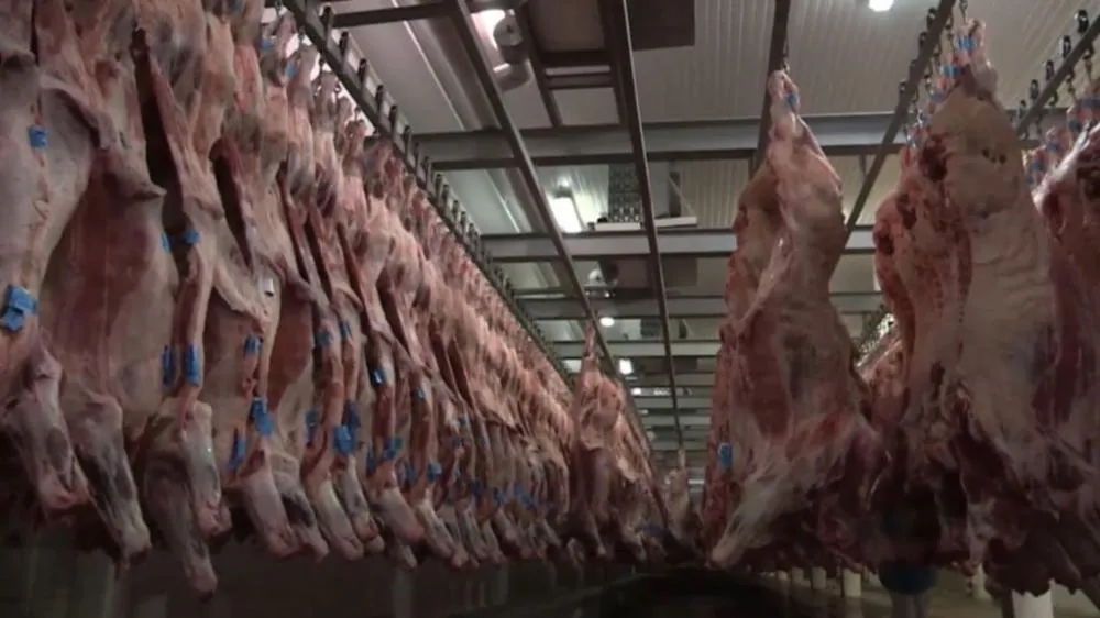 Resíduos na carne: veterinário alerta sobre carência de medicamentos no rebanho