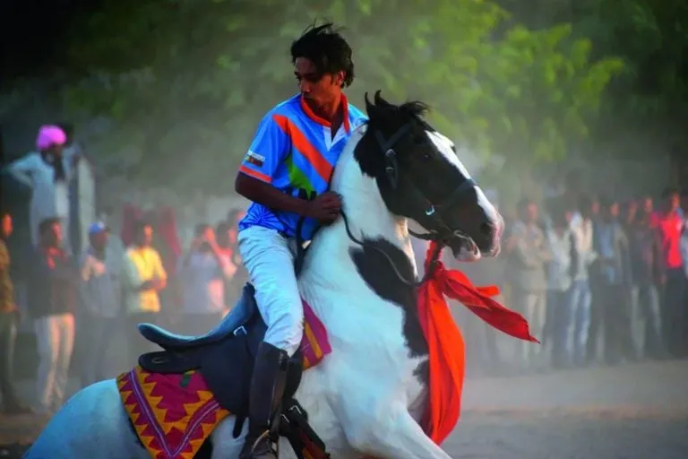 O lendário cavalo de guerra dos Rajput - Foto: Forbes_Australia