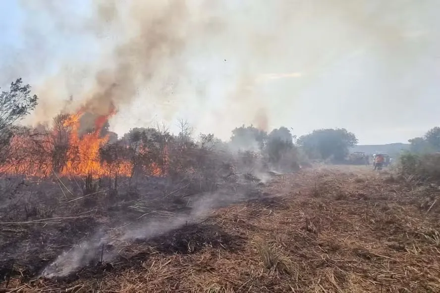 Período de estiagem, entre junho e outubro, é a época mais crítica para incêndios florestais — Foto: IAT-PR/Divulgação
