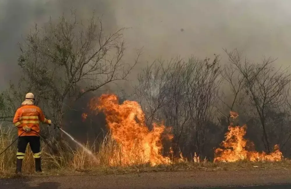 Combate ao fogo na BR - 262, durante período crítico de queimadas em 2024. (Foto: Bruno Rezende)