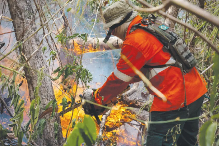 Atualmente incêndios florestais atingem a região da Serra do Amolar e o Parque Estadual Nascentes do Rio Taquari, no Pantanal de MS - Foto: Divulgação / Edu Clicks/ IHP