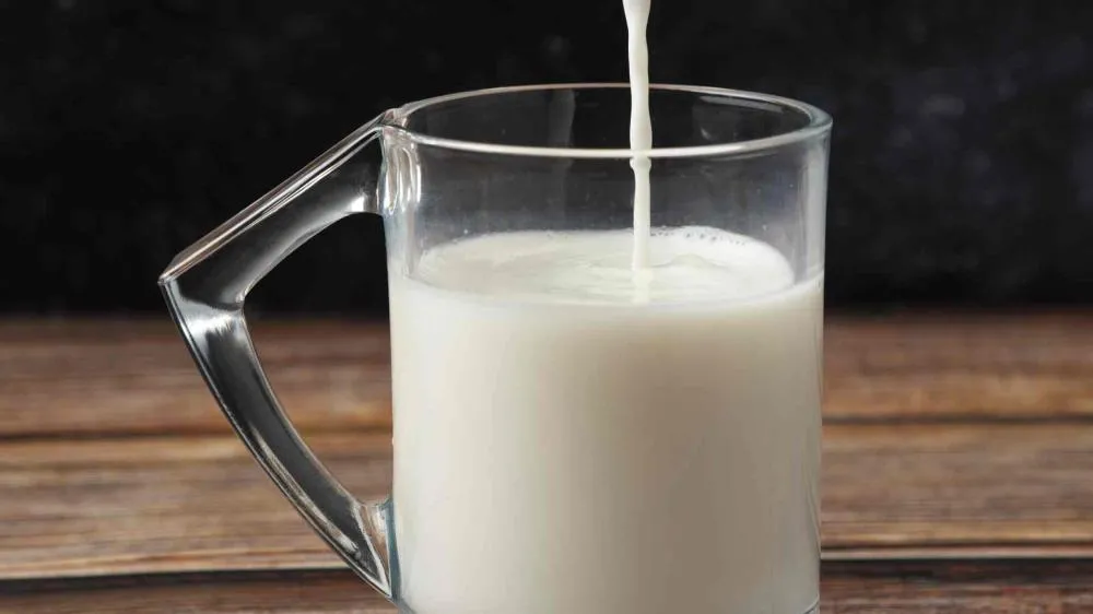 Programa dá apoio a pequenos produtores de leite do Estado (Foto: Reprodução, Freepik).