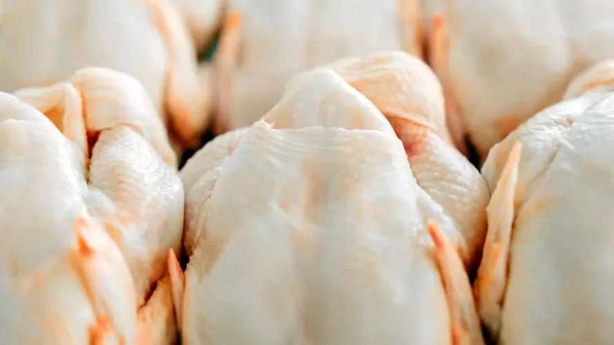 Preços dos produtos avícolas vêm subindo nos últimos meses — Foto: Canva/Creative Commons