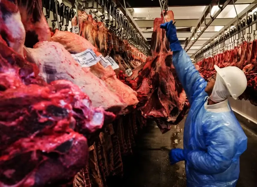 Em 2025, a China respondeu por cerca de 1,7 milhão de toneladas das exportações de carne bovina do Brasil — Foto: Claudio Belli/Valor