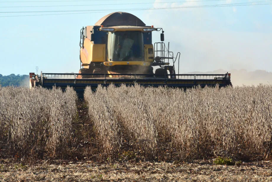 A área semeada com soja cresceu 5,3%, saindo de 4 milhões de hectares no ciclo passado para 4,213 milhões de hectares na safra 2023/2024 - Gerson Oliveira / Correio do Estado