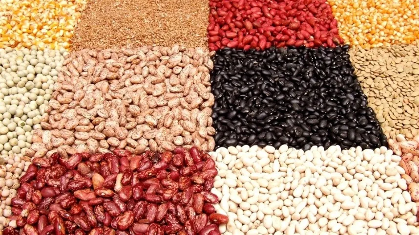 Produtores optam por diferentes variedades - Foto: Pixabay