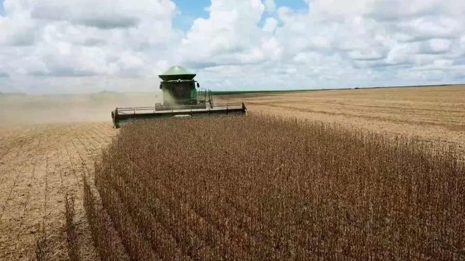 Foto: Canal Rural/Reprodução