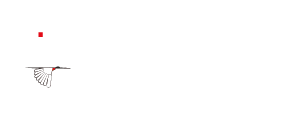 Via Pantanal